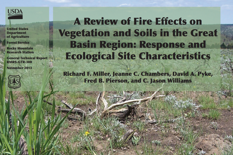 “A Review of Fire Effects on Vegetation and Soils in the Great Basin Region: Response and Ecological Site Characteristics”
