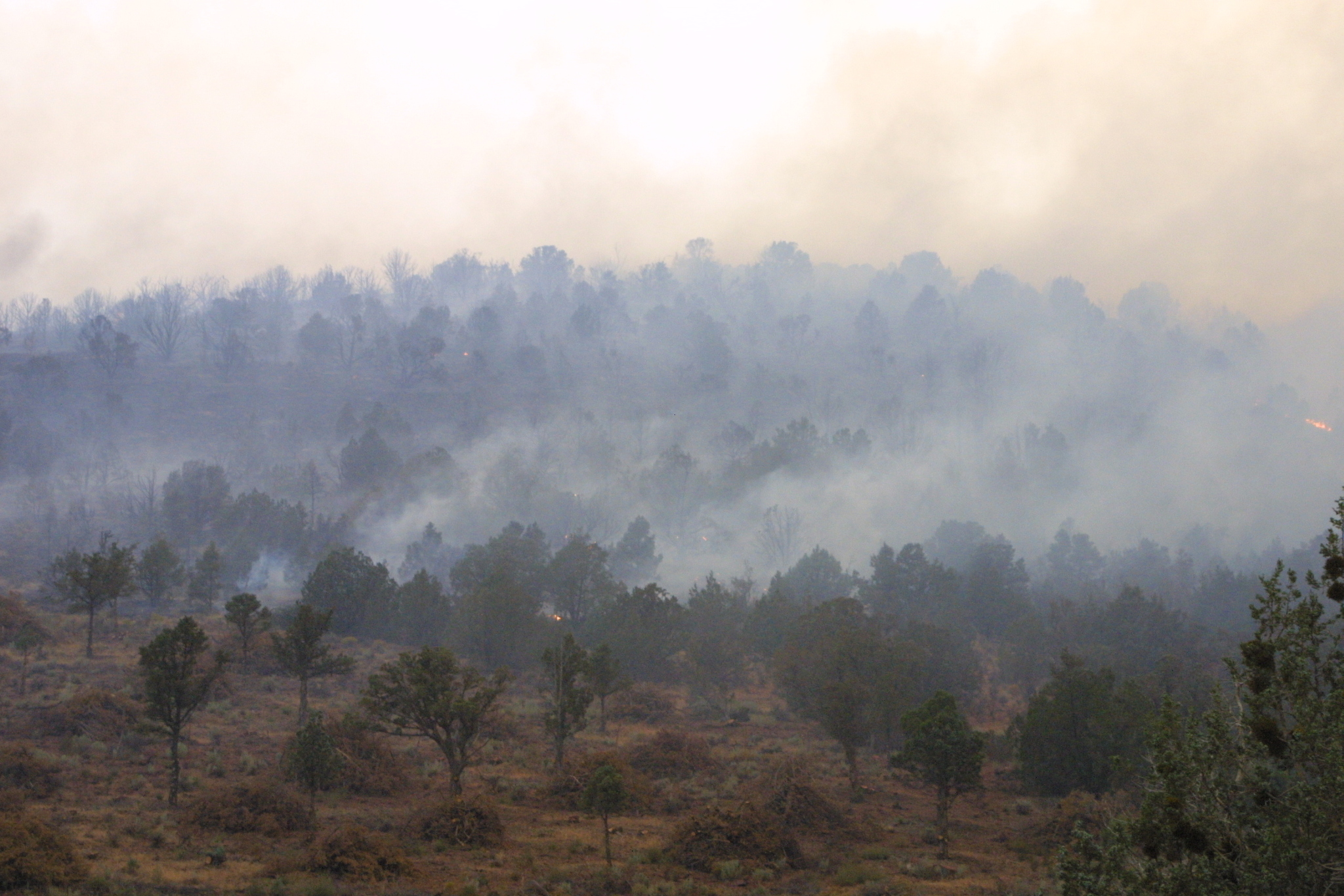 Utah: Prescribed Burning – Landowner Responsibility and Liability