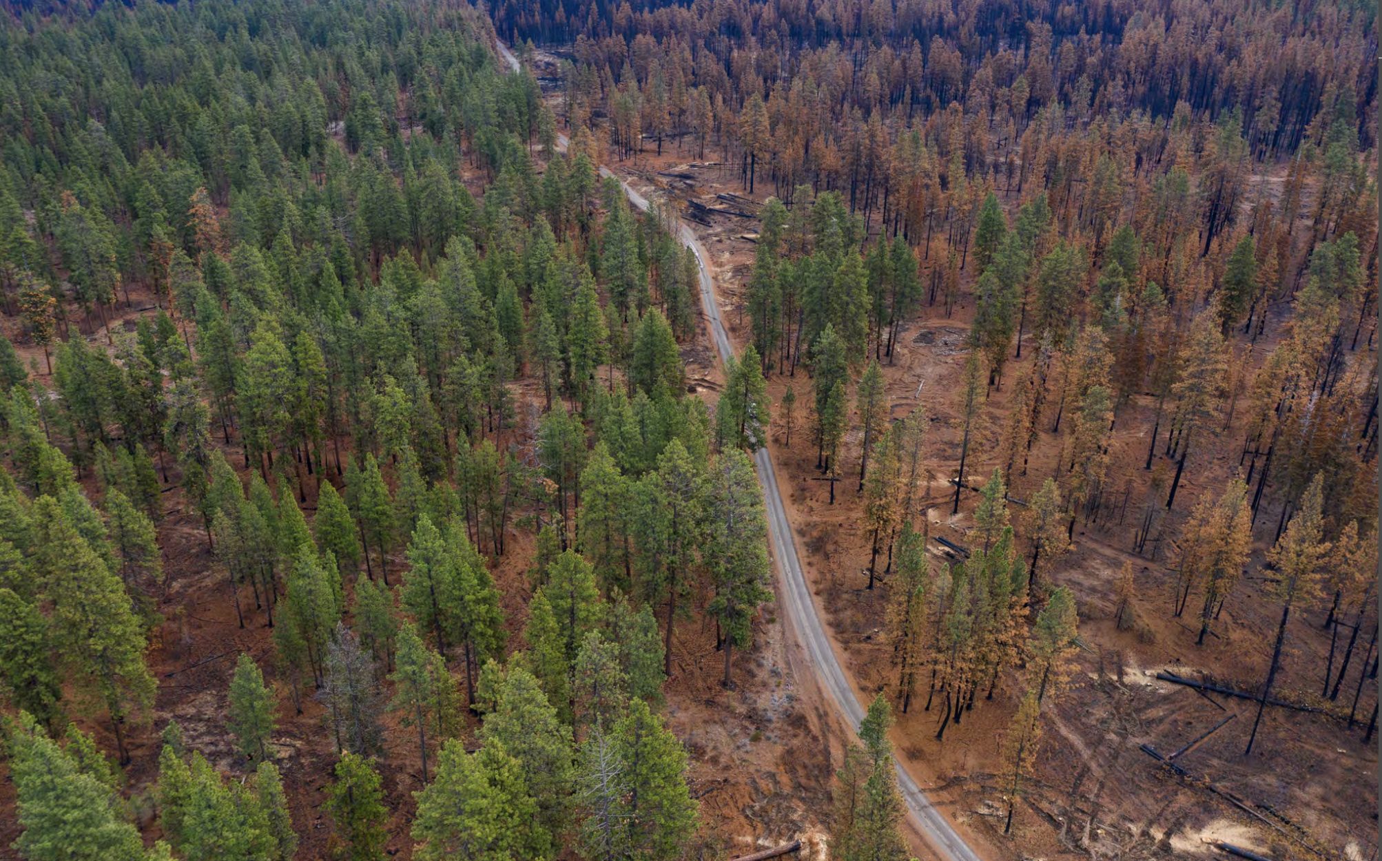 What Do We Know About Forest Treatments And Fire? Photos And Long-term Studies Help Us Understand.