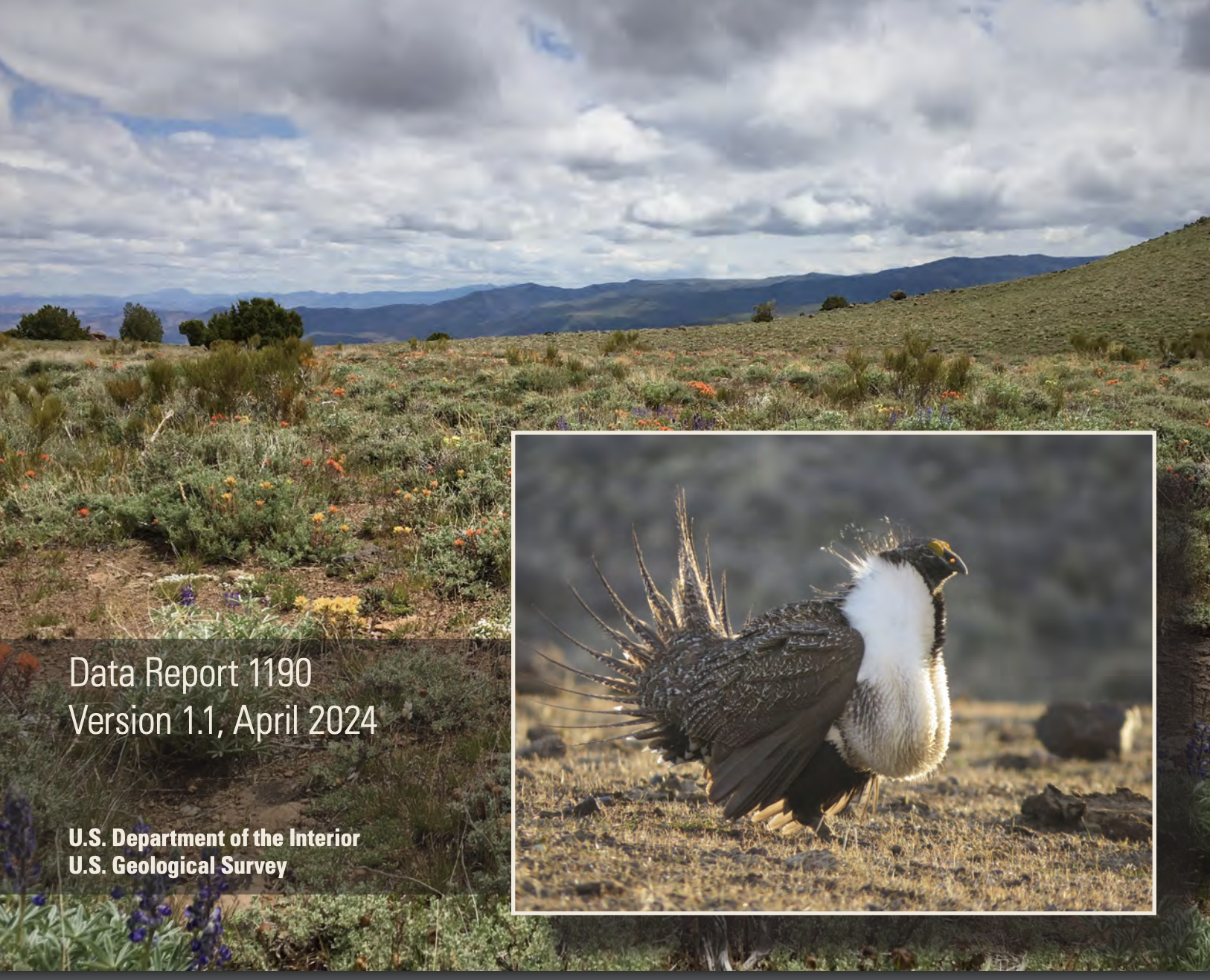 Range-wide Population Trend Analysis for Greater Sage-Grouse (Centrocercus urophasianus)—Updated 1960–2023