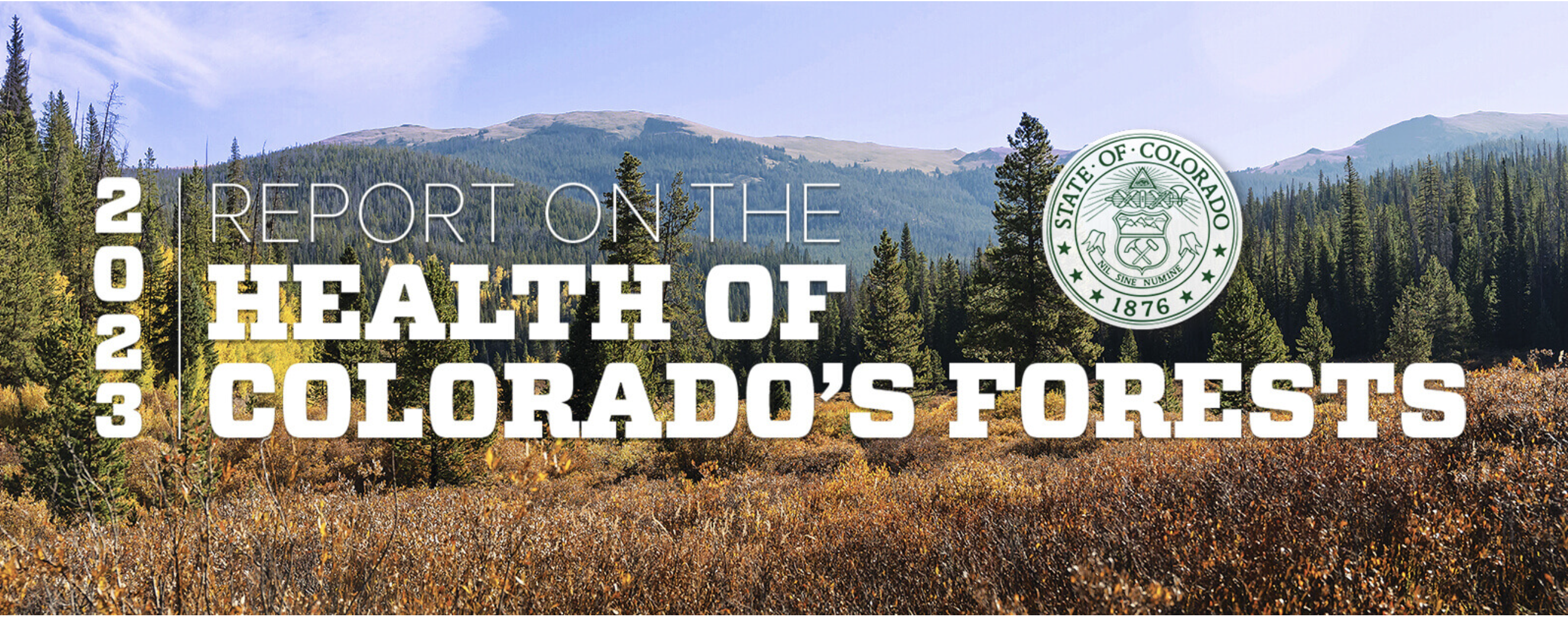 2023 Report on the Health of Colorado’s Forests
