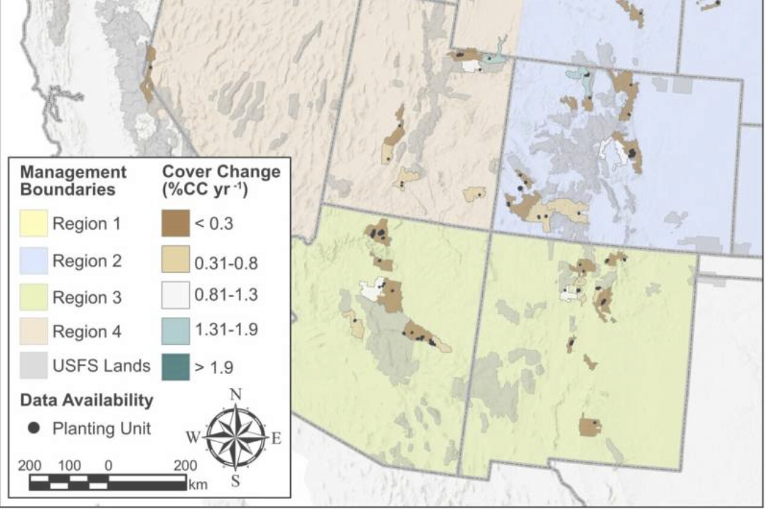 Green is the new black: Study sheds light on reforestation and post-fire recovery