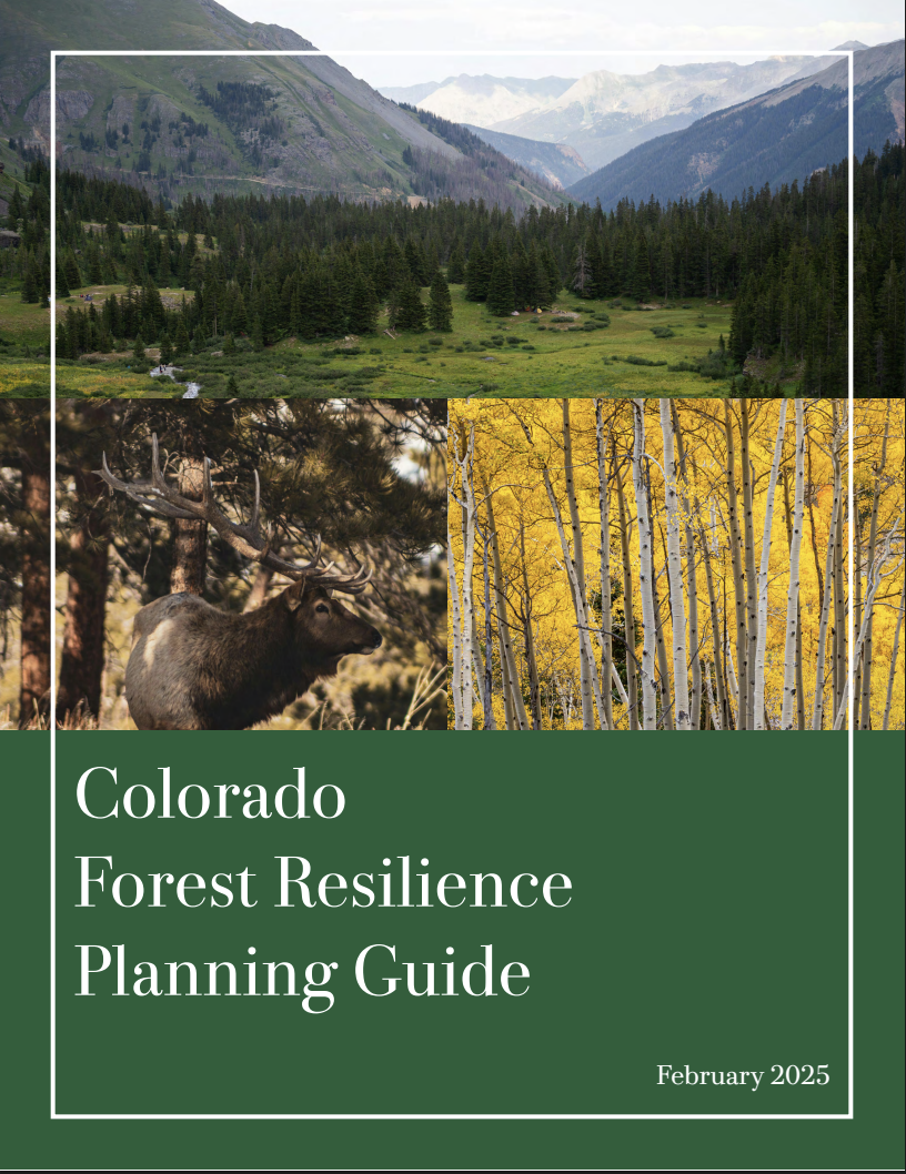 Forest Resilience Planning Guide