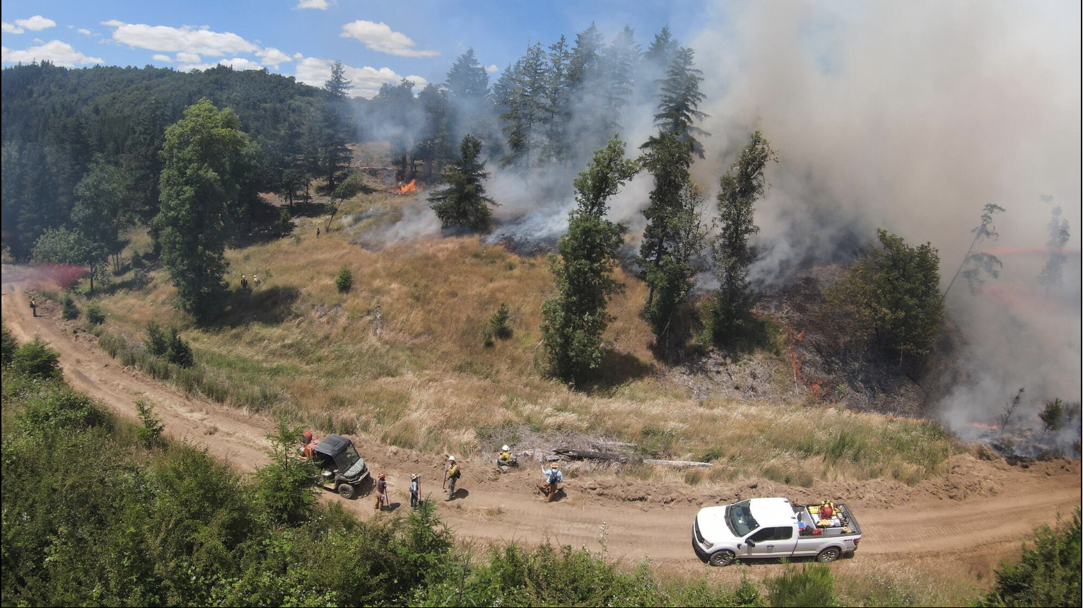 Landowners’ options for prescribed burning