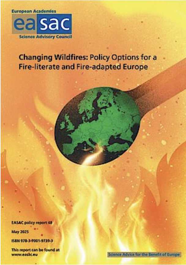 Changing Wildfires – Policy Options for a Fire-literate and Fire-adapted Europe