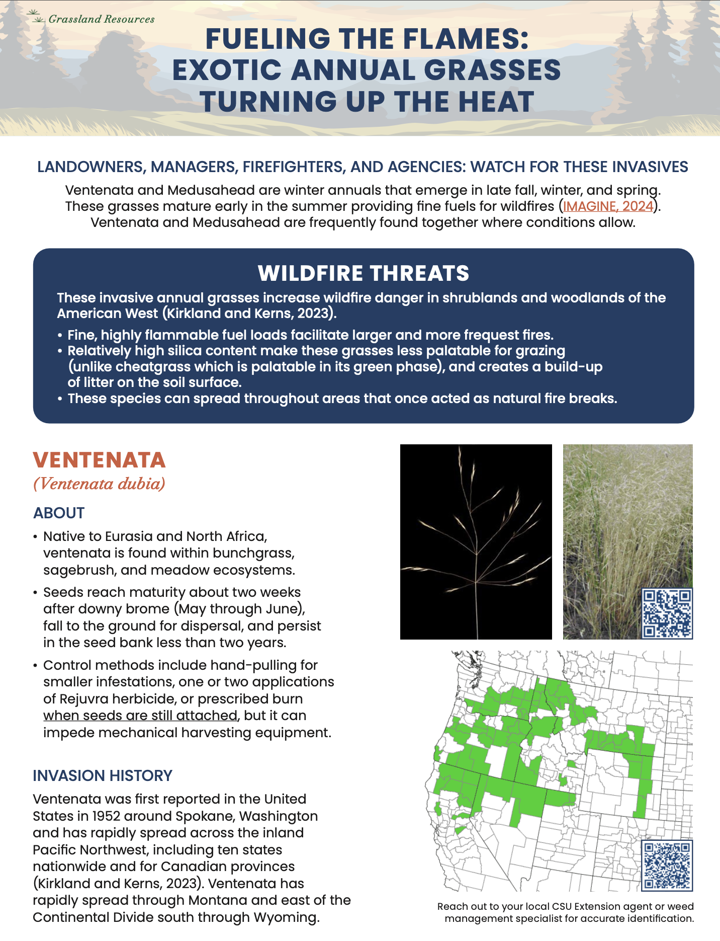 FUELING THE FLAMES: EXOTIC ANNUAL GRASSES TURNING UP THE HEAT