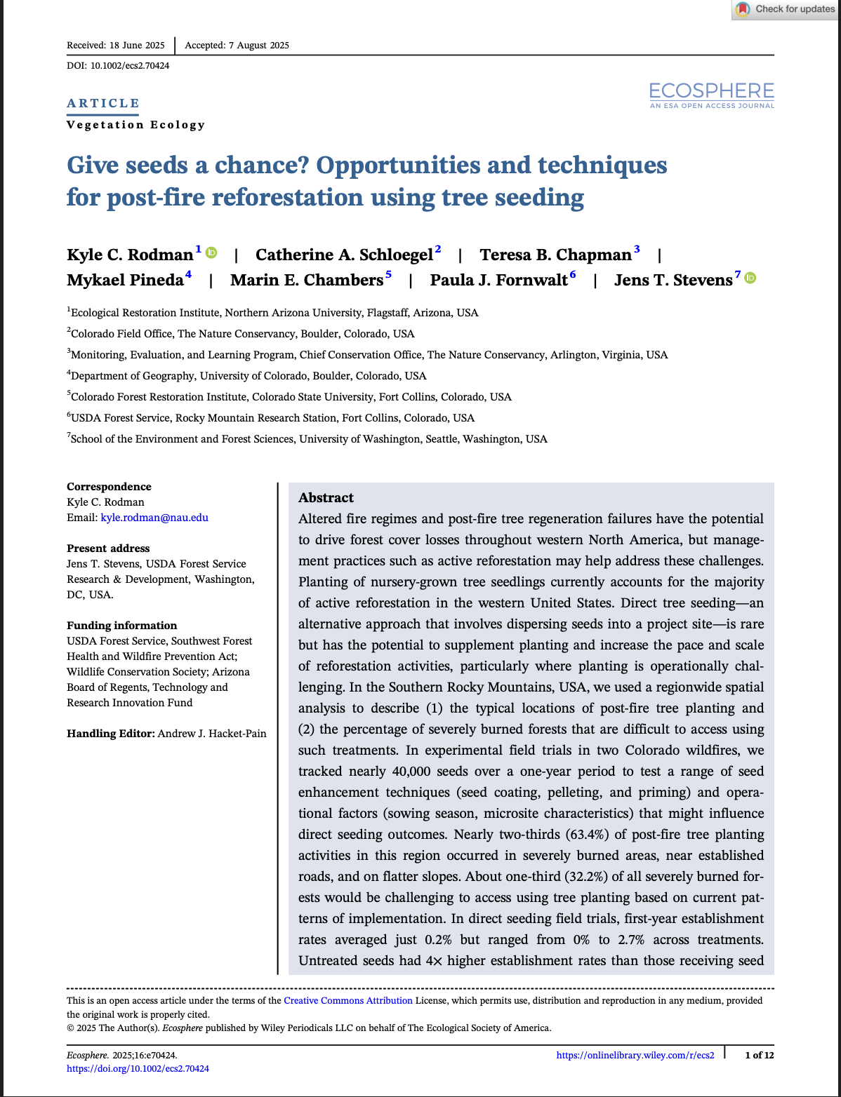 Give seeds a chance? Opportunities and techniques for post‐fire reforestation using tree seeding