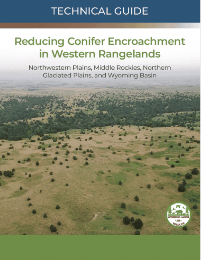 New Guides-Reducing Conifer Encroachment in Western Rangelands