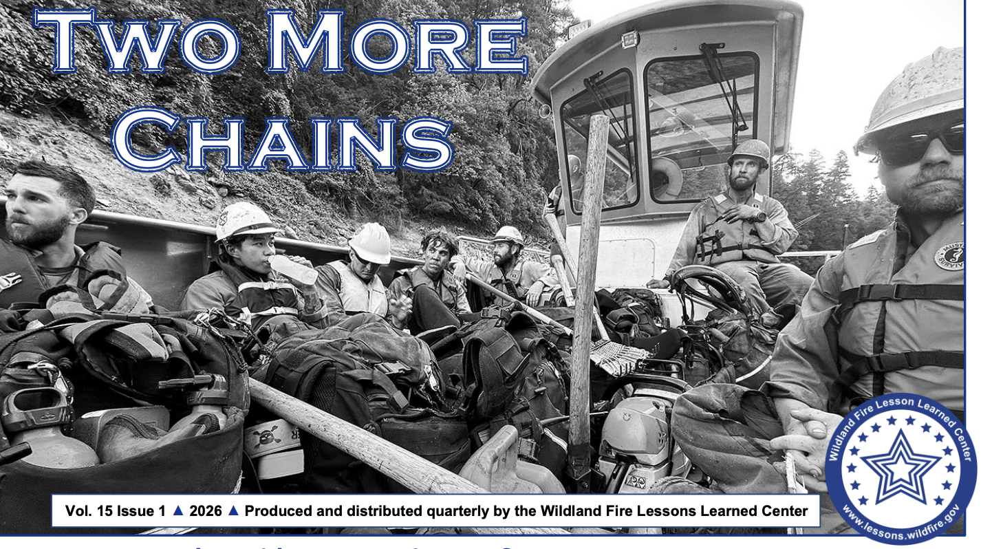 Two More Chains: What did We Learn in 2025