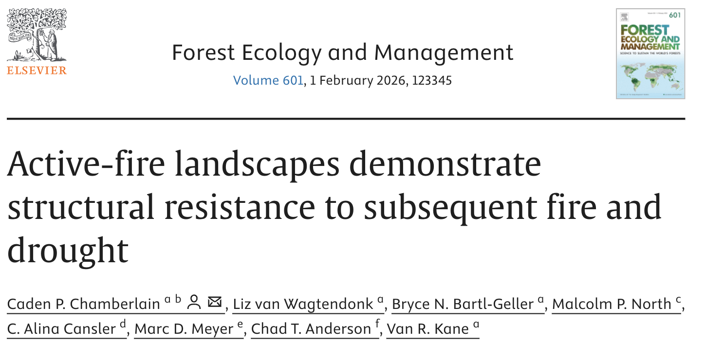 Active-fire landscapes demonstrate structural resistance to subsequent fire and drought