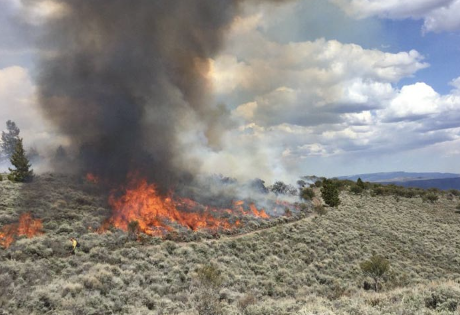 User feedback on the Interagency Fuel Treatment Decision Support System