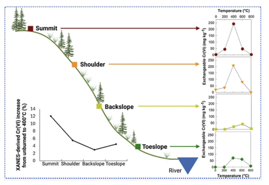 Landscape Position and Burn Intensity Influence Heat-Induced Soil Chromium Contamination