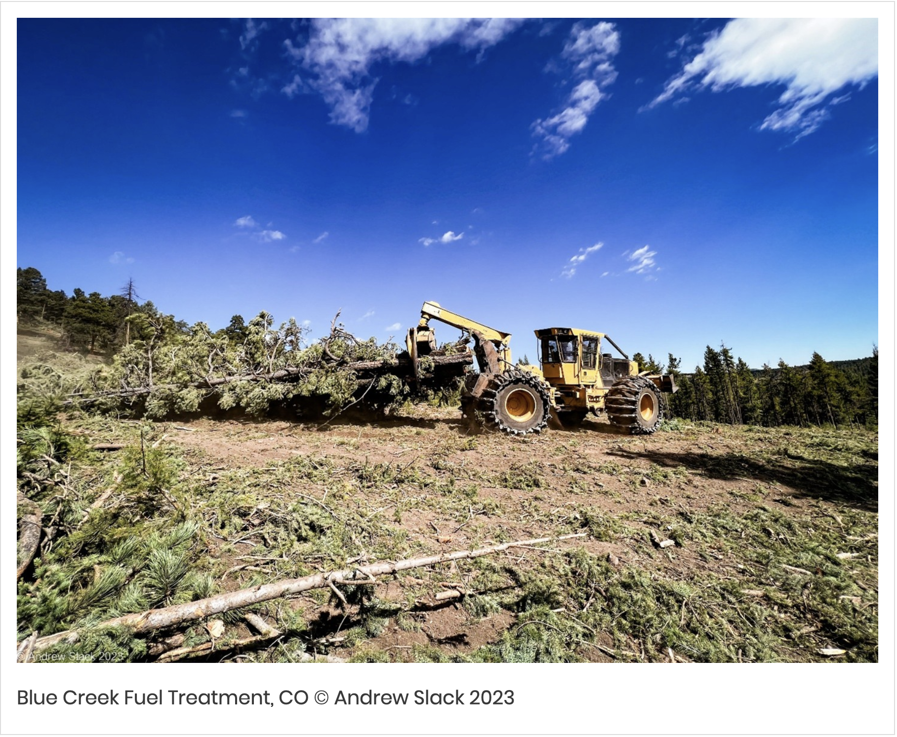 Fuel treatments are supposed to protect forests from wildfire. How do we know if they’re working?